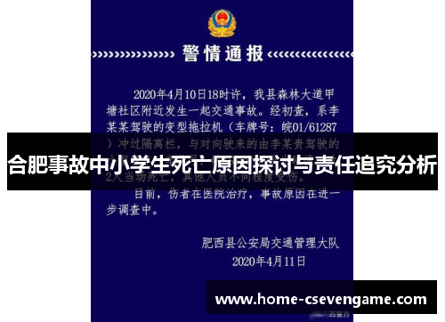 合肥事故中小学生死亡原因探讨与责任追究分析